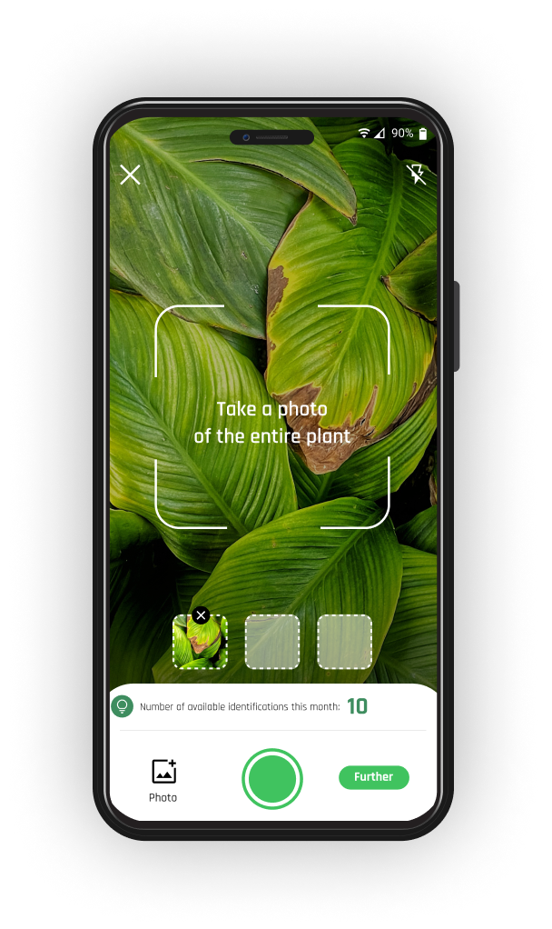 Download now!