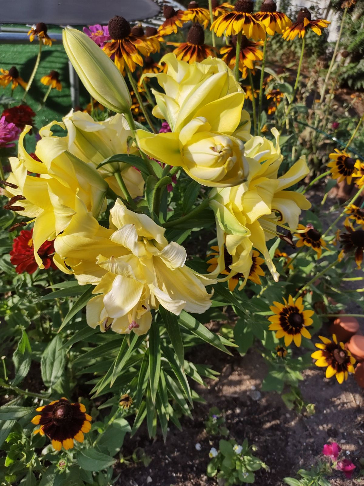12034