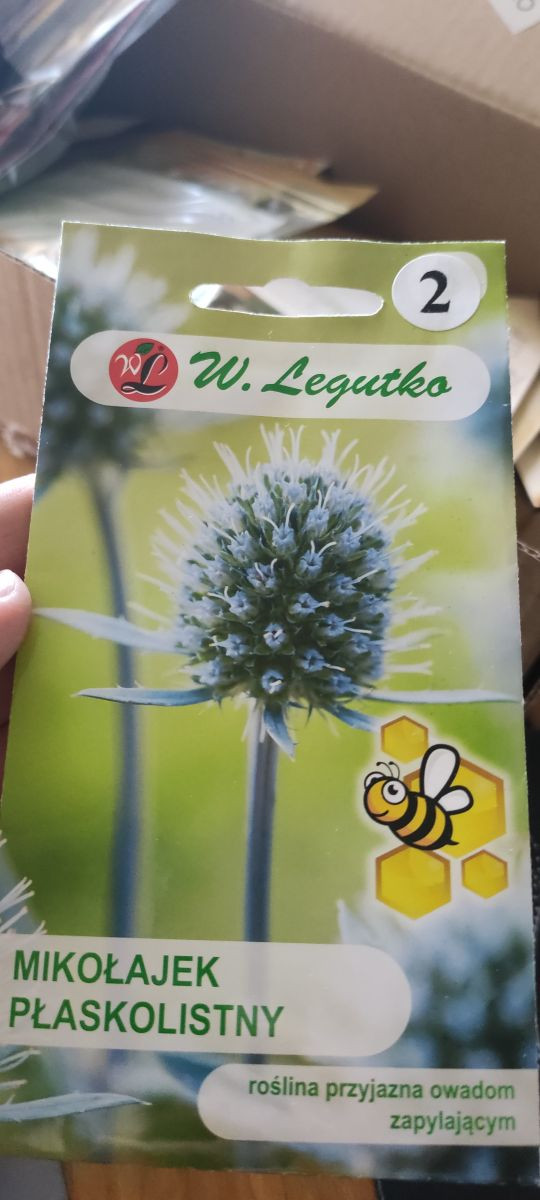 13296