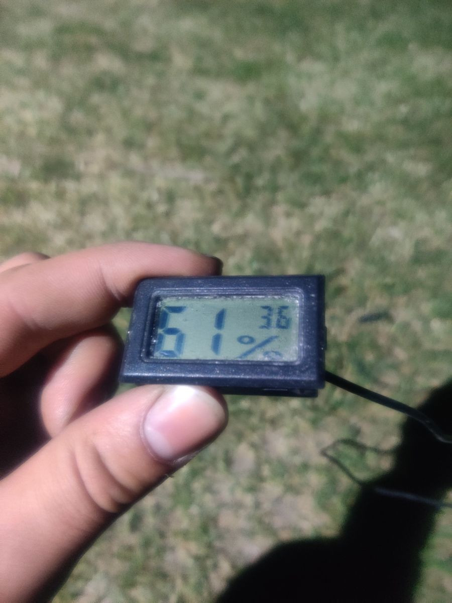 13463