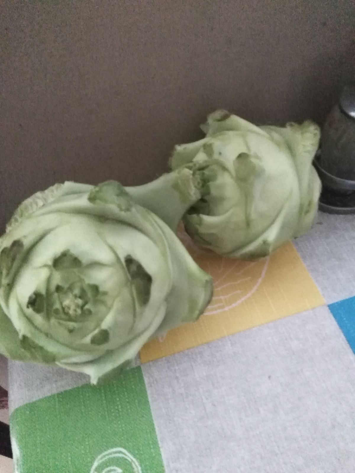 13686