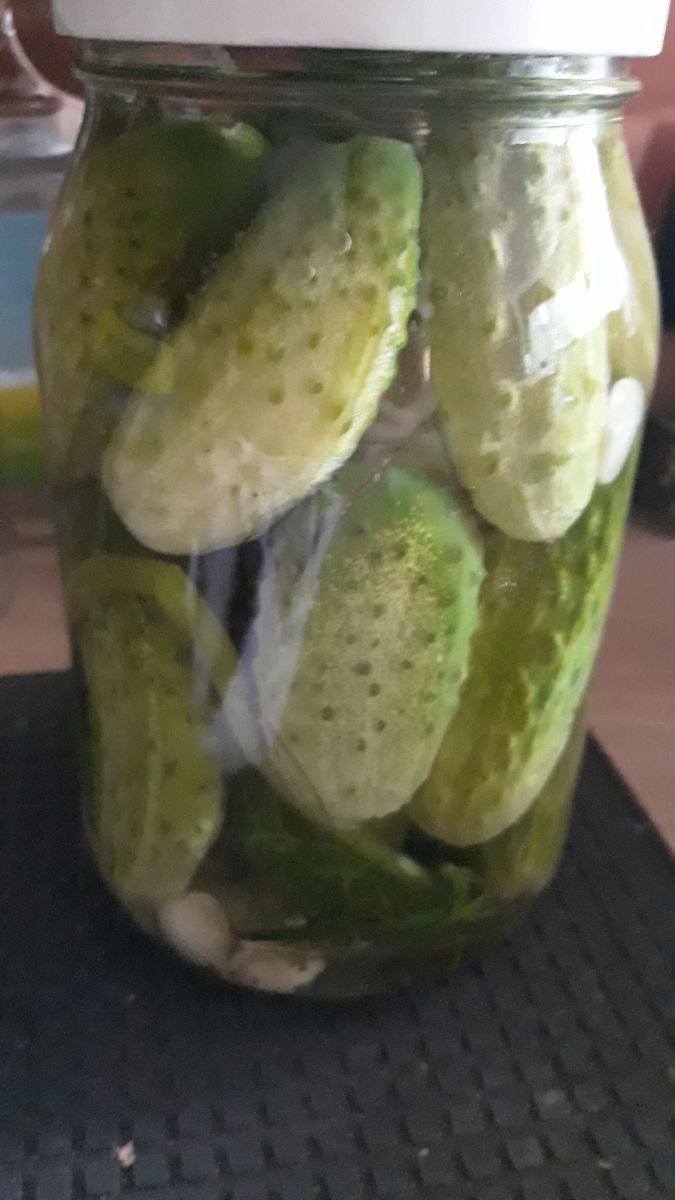 13835