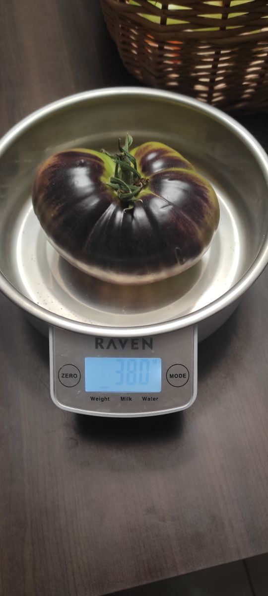 13875