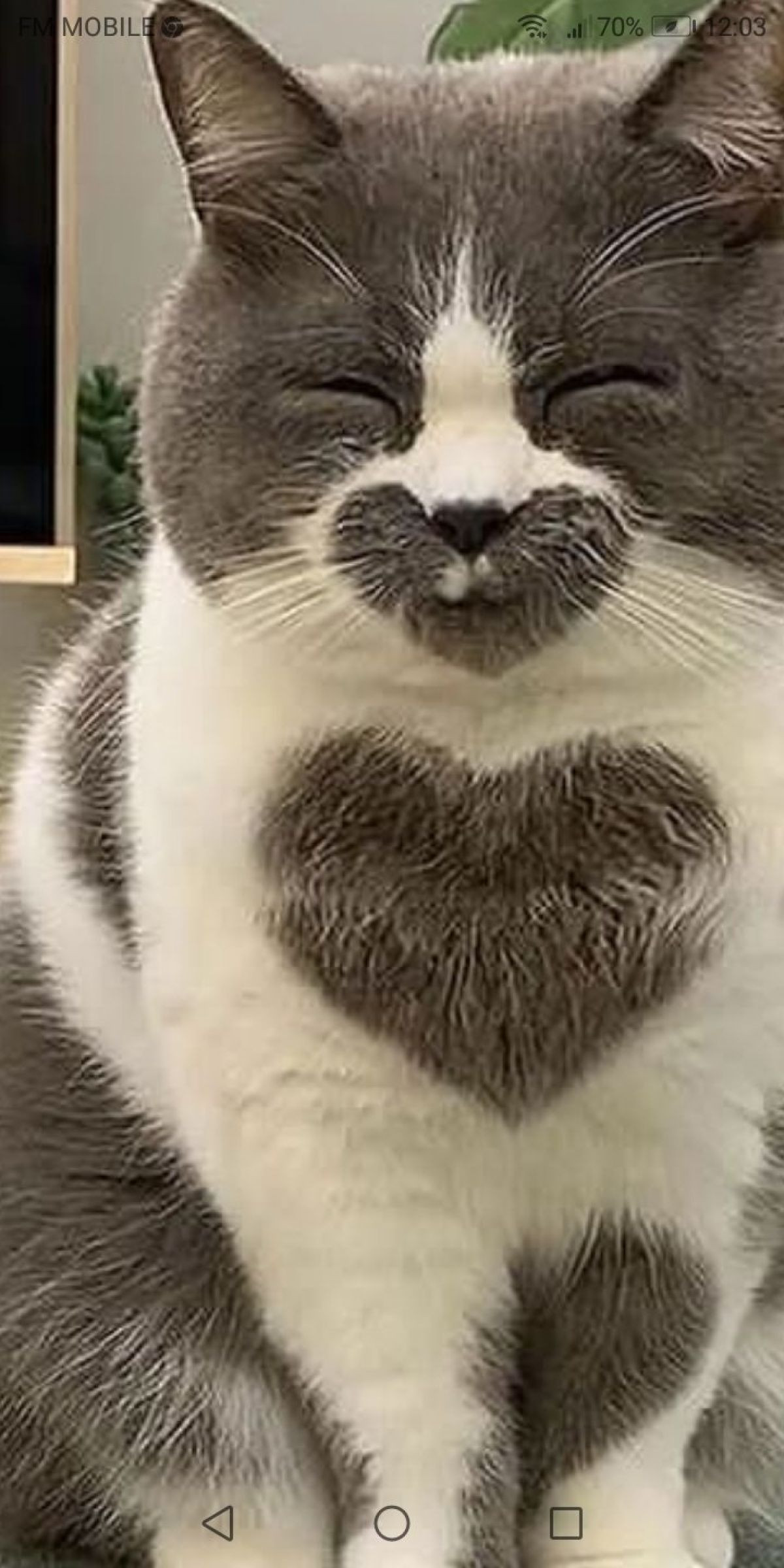 13880