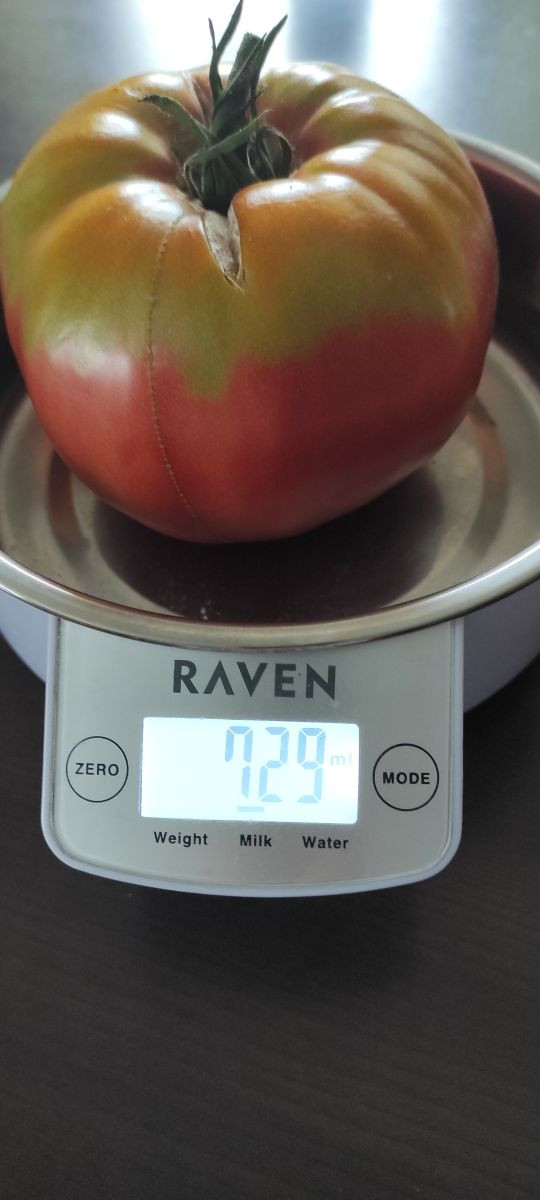 13881