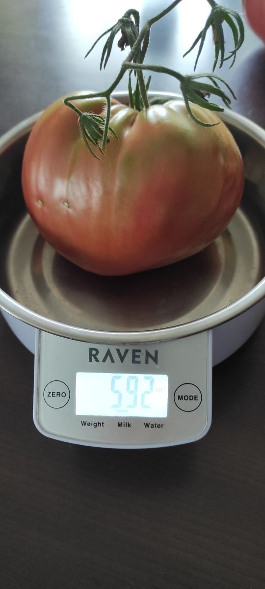 13881