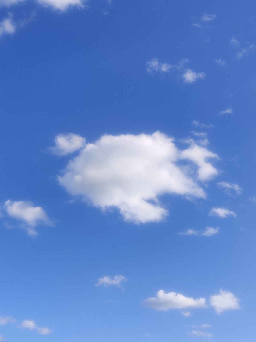 14898