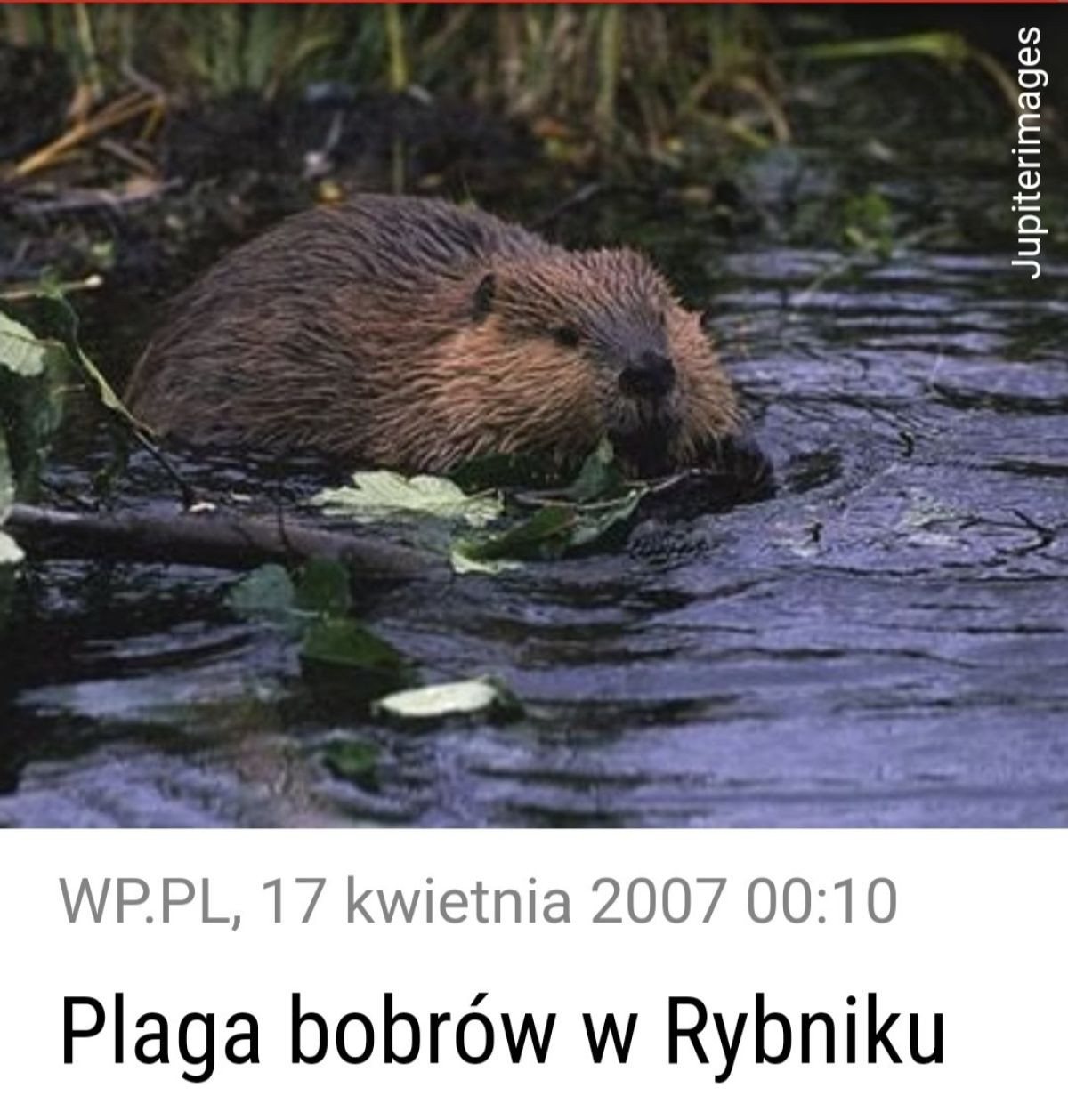 15259