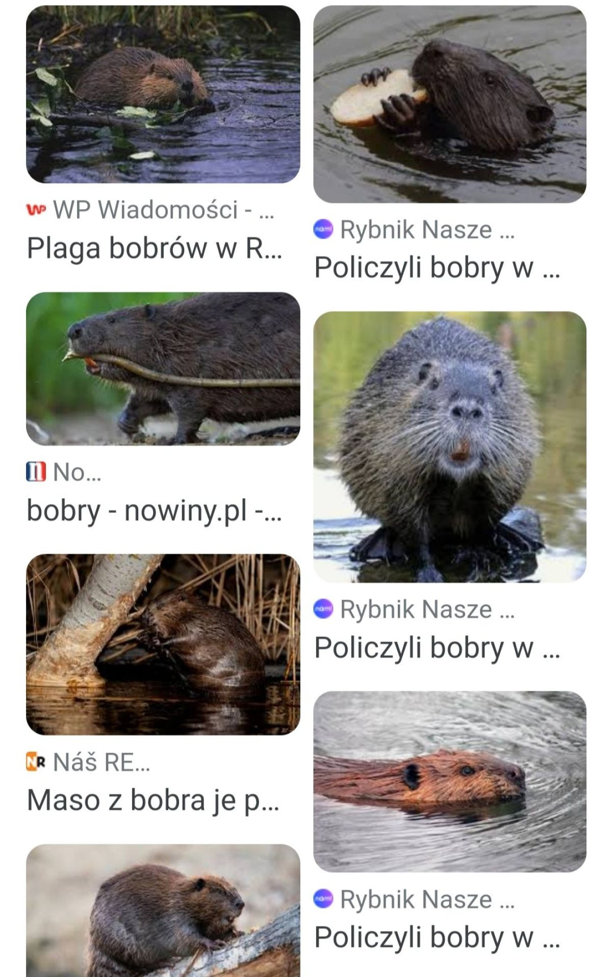 15259