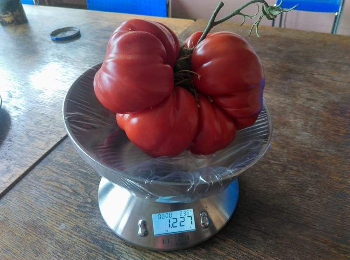 1275