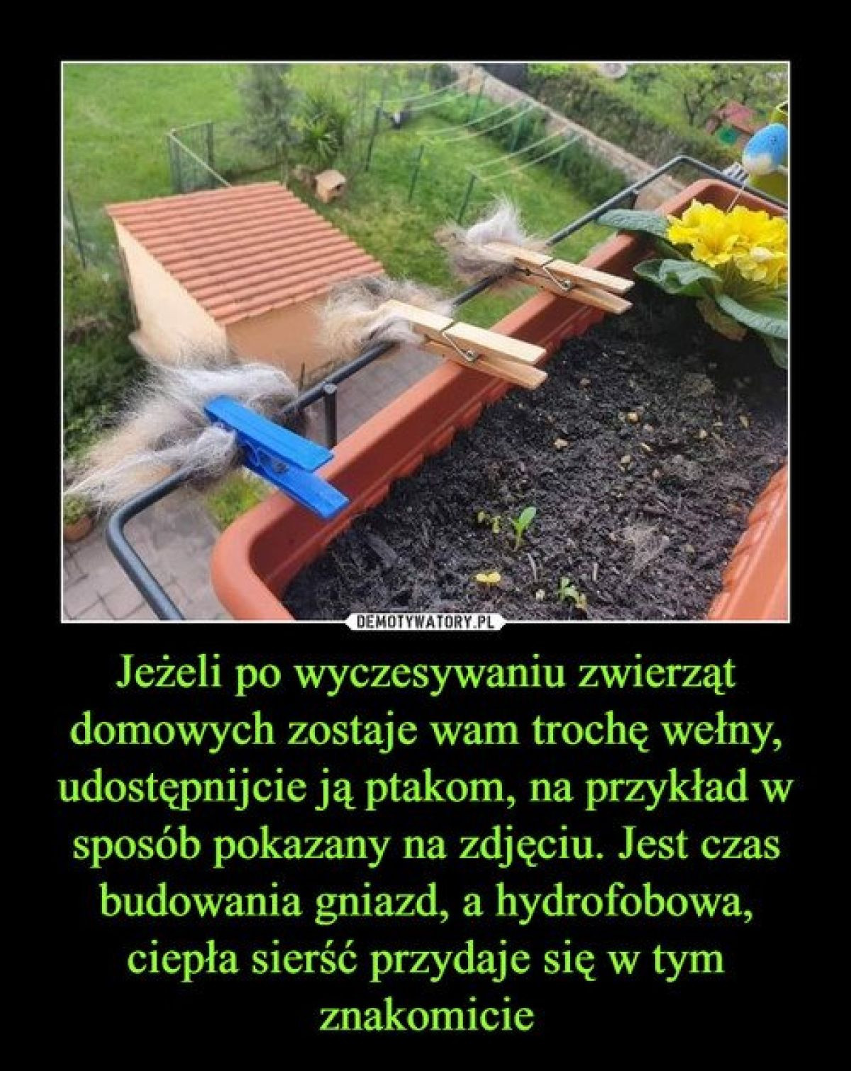 8656