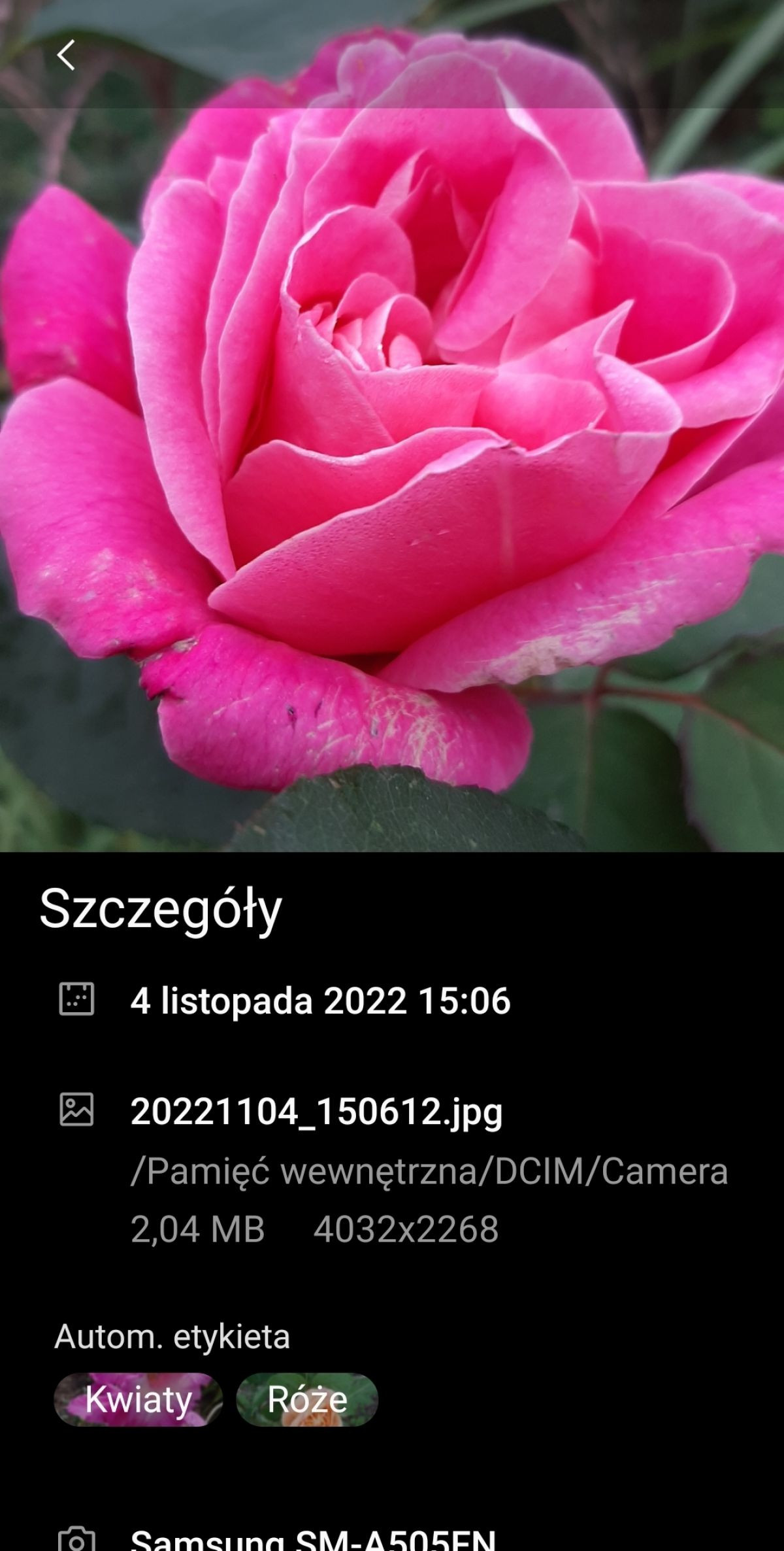 12411