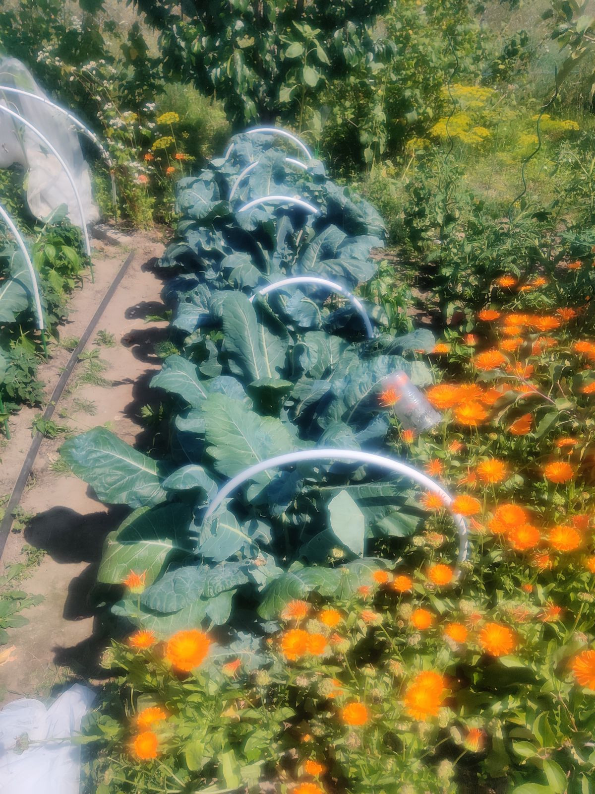 11974