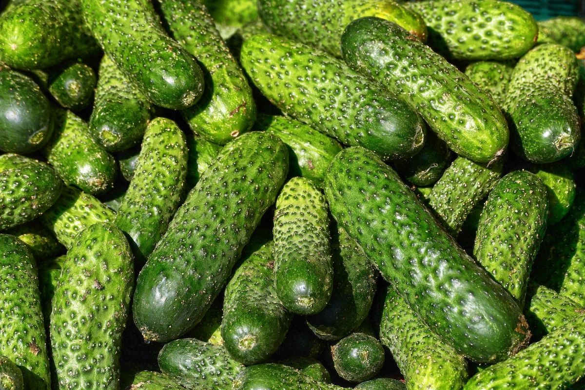 3344