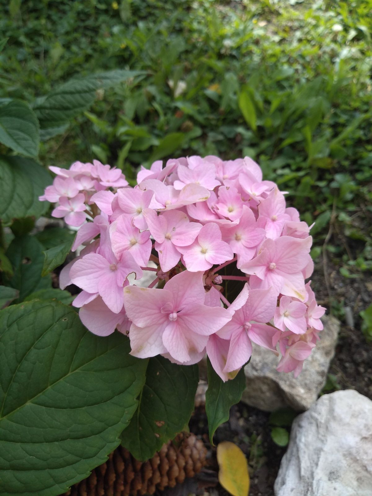 12052