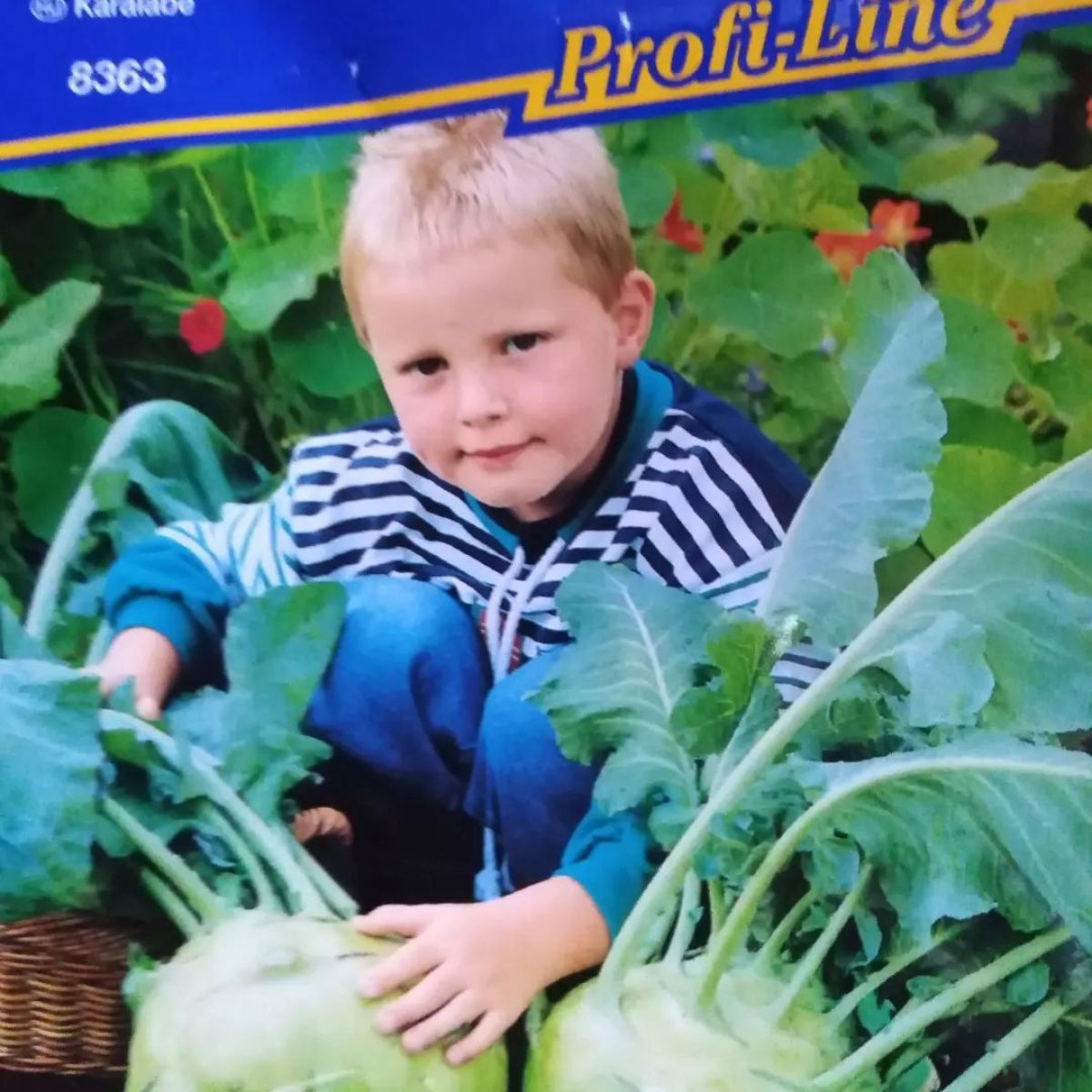 11264
