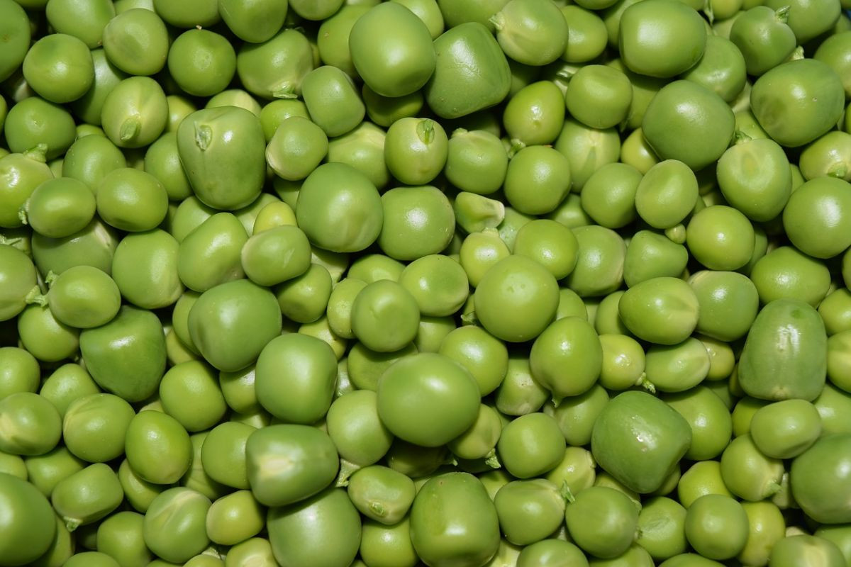 6406