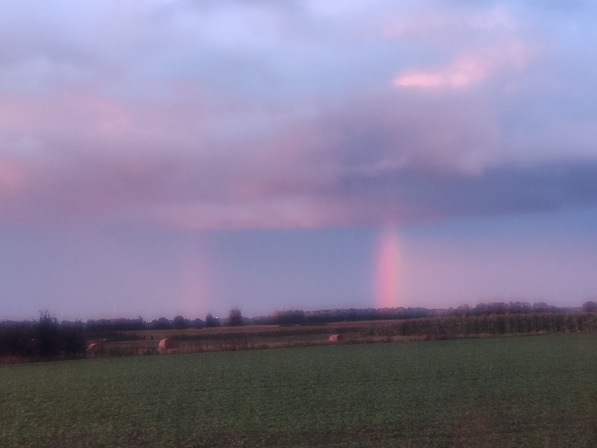 12217