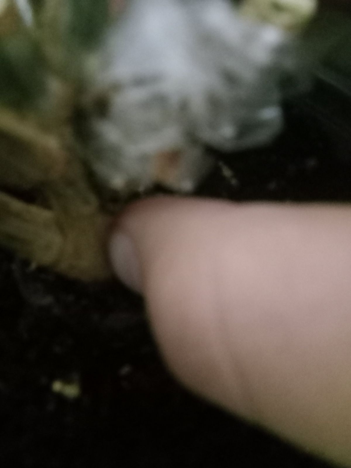 11587