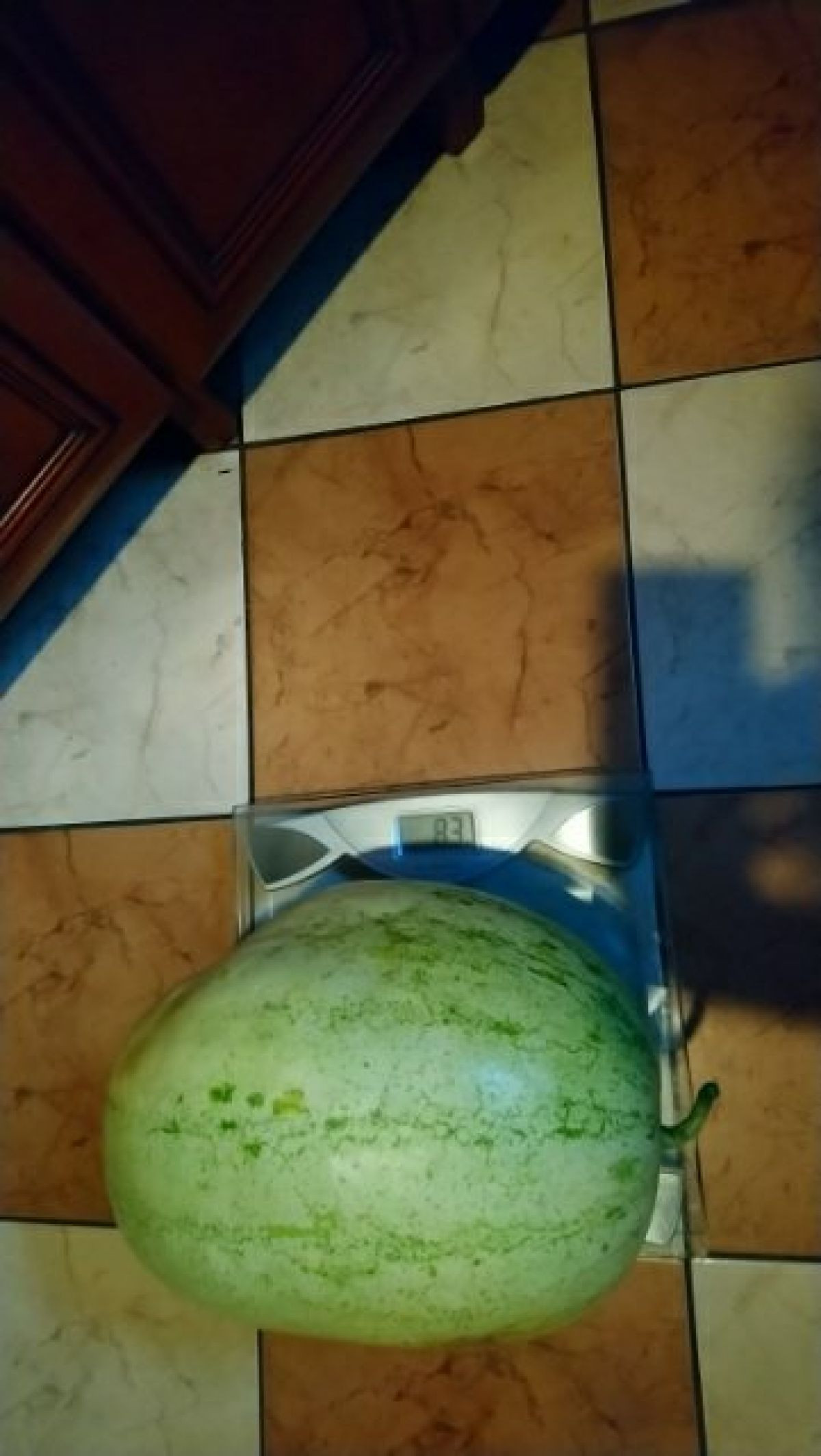10203