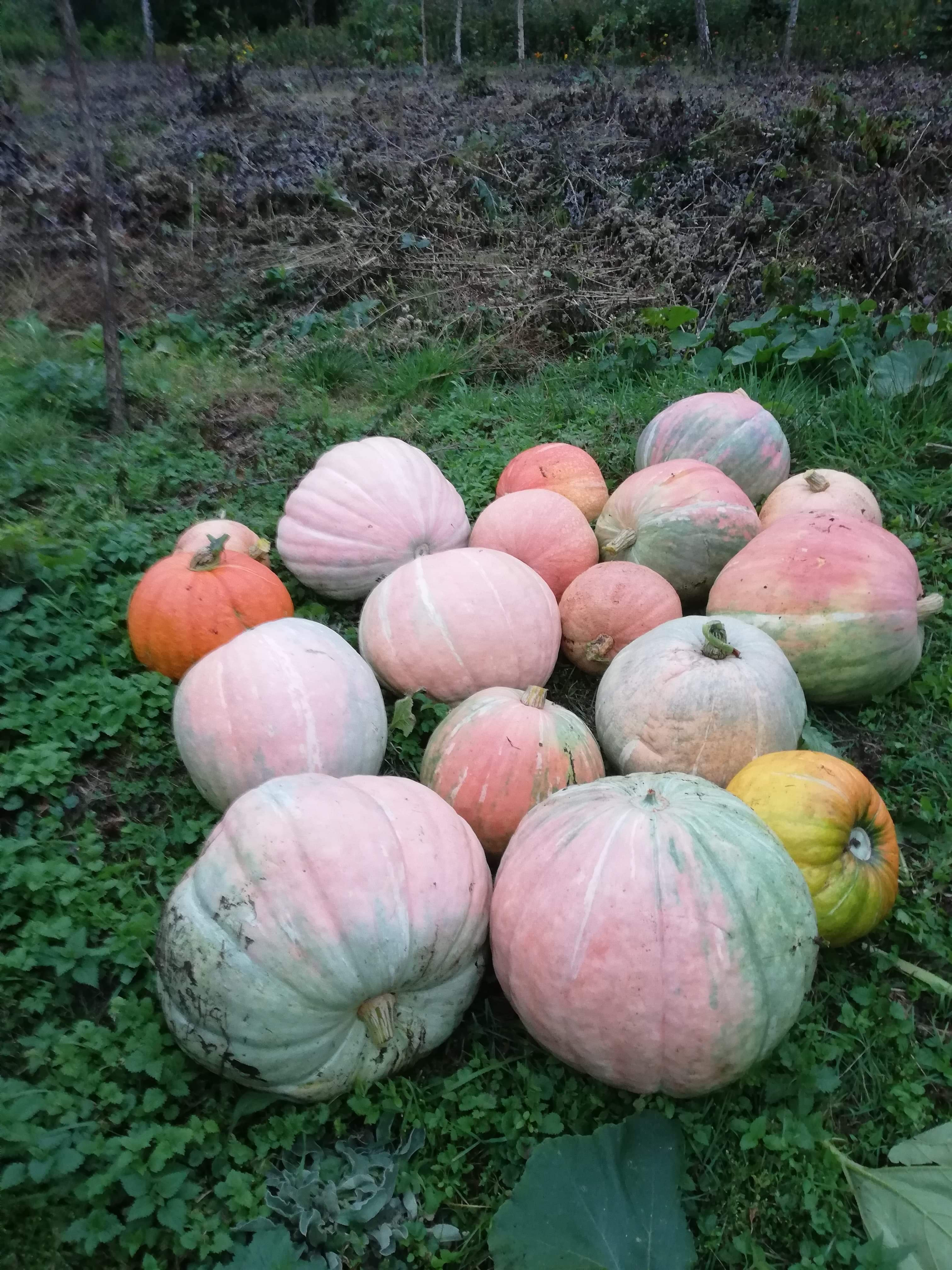 508