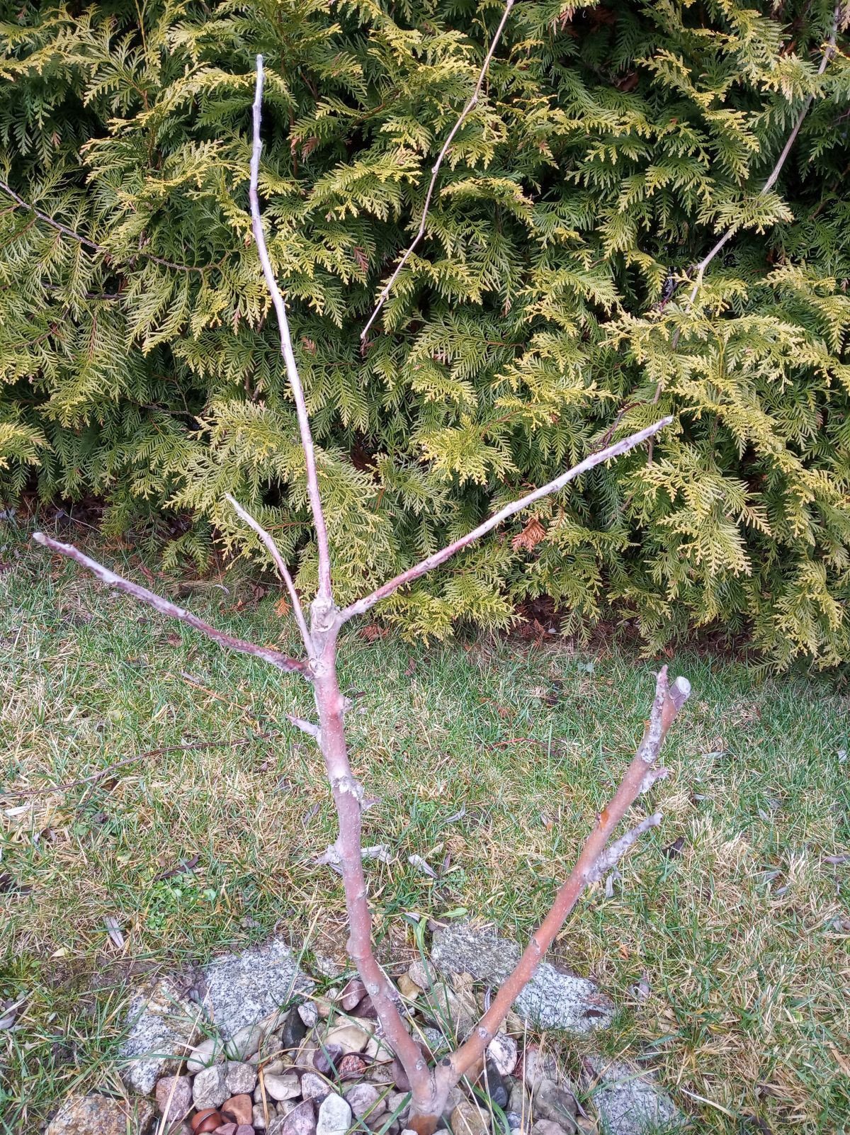 1356