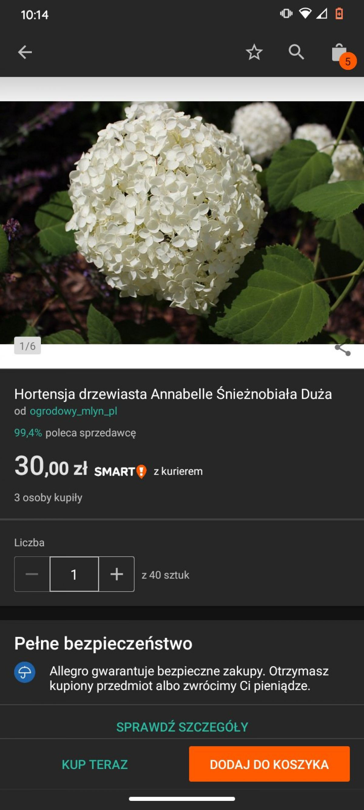 9787