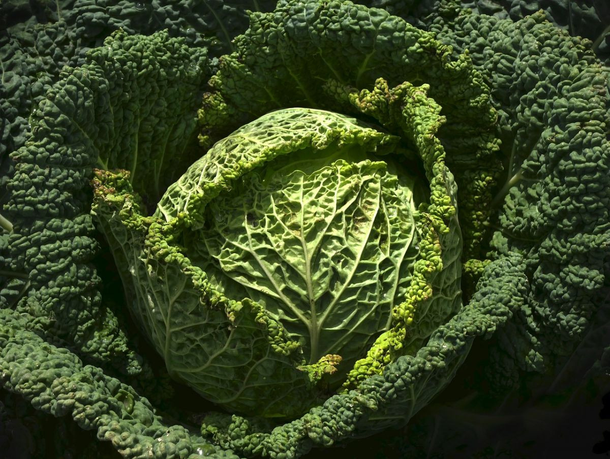 4585
