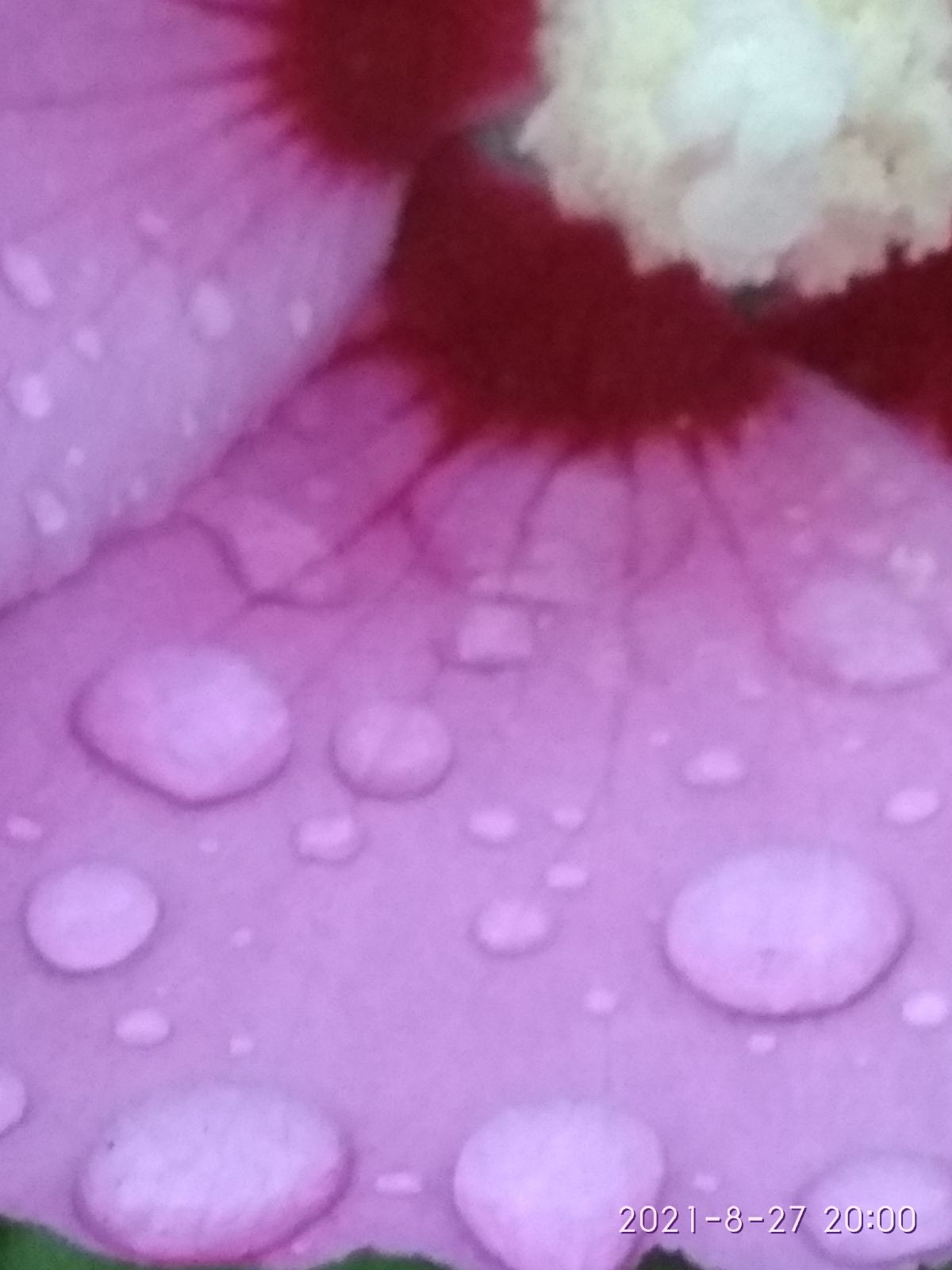 10319