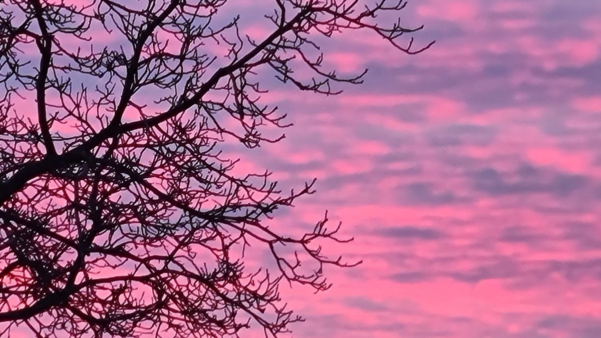 11025