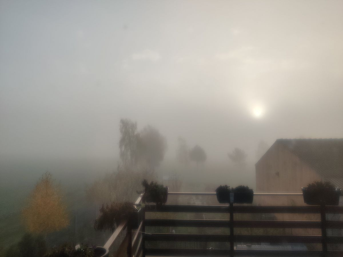 12376