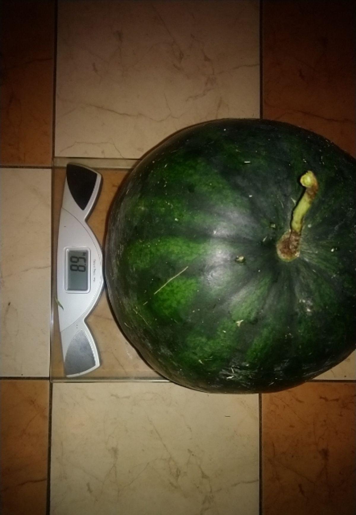 6210
