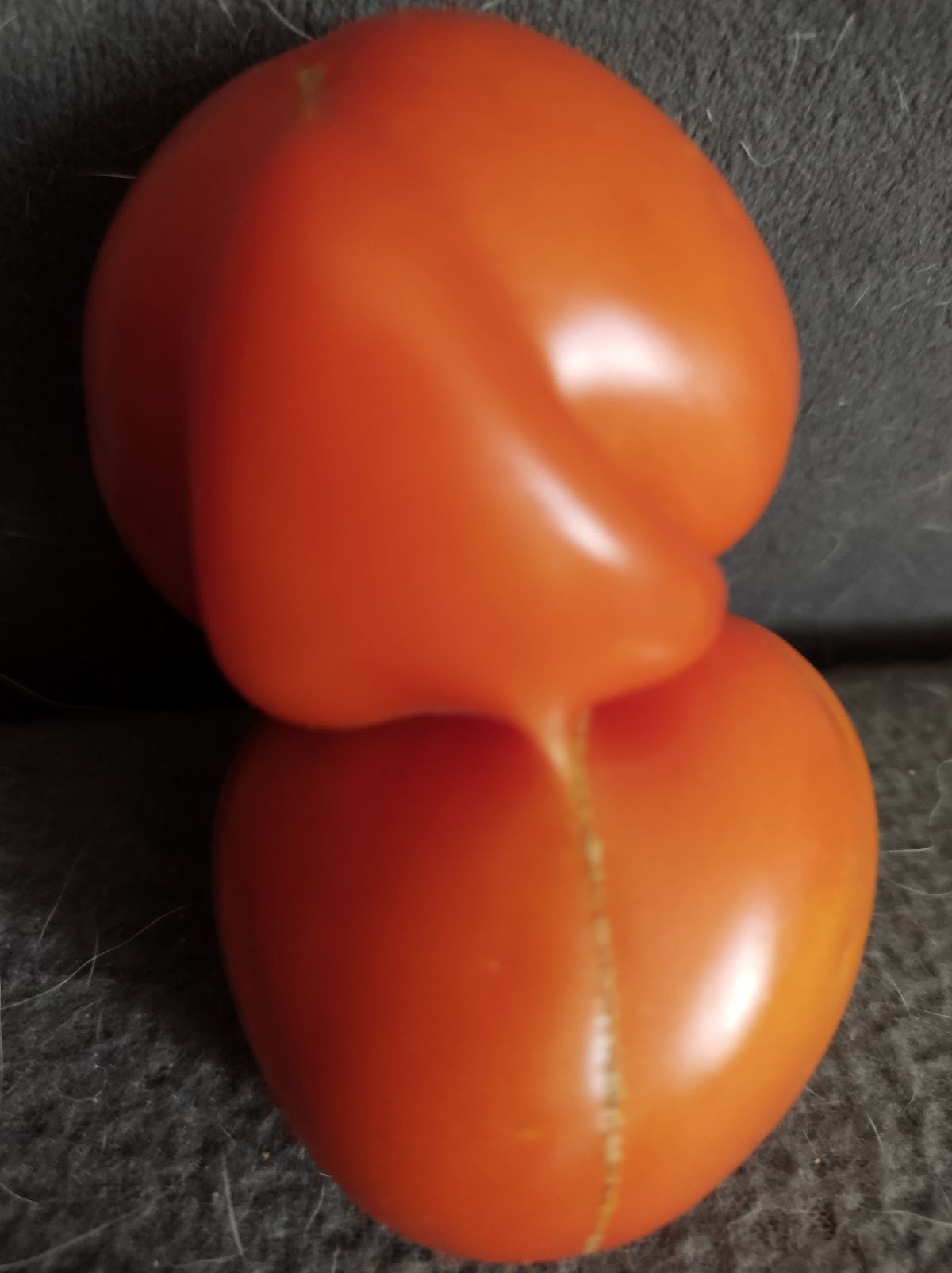 10149