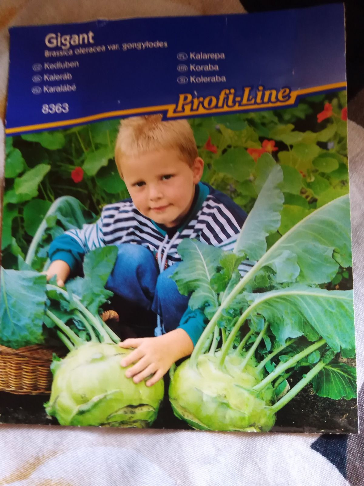 11244