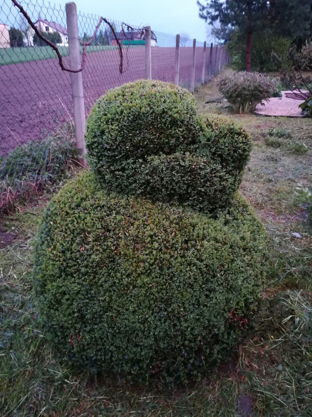 2628